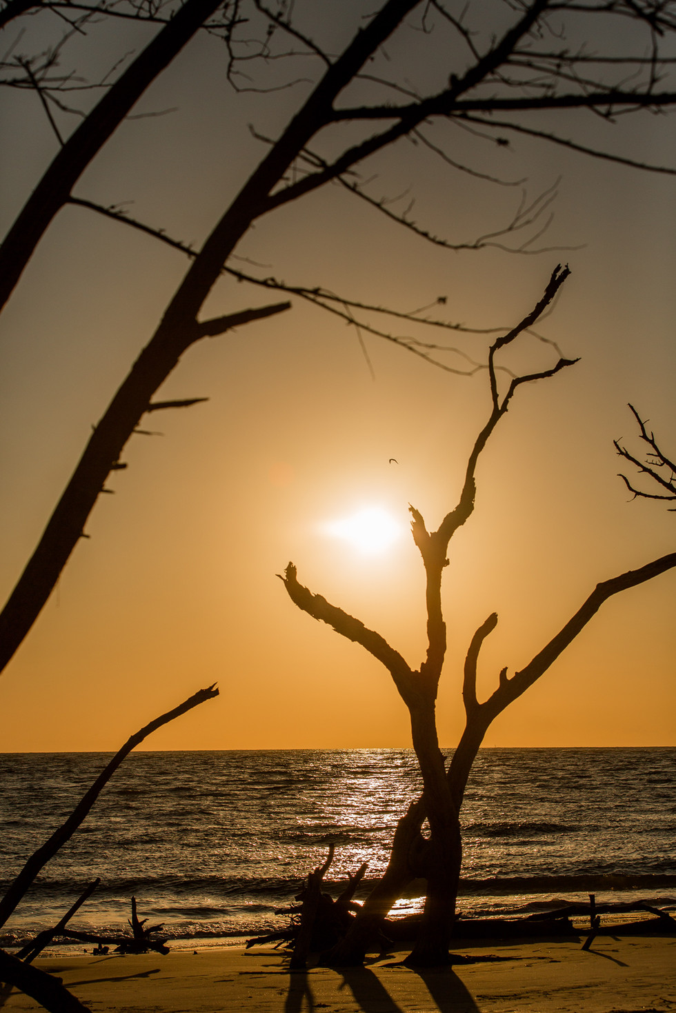 Sunrise Morris Island Lighthouse Folly Beach Engagement - Charleston Wedding Photographer - BraskaJennea Photography-50