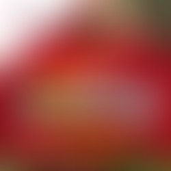 ¡Comienza el XI Concurso de Christmas!