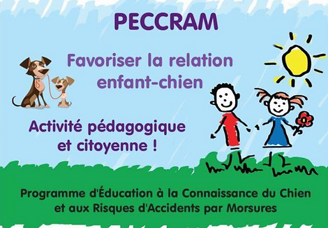 Capture d’écran 2025-04-25 163508.png