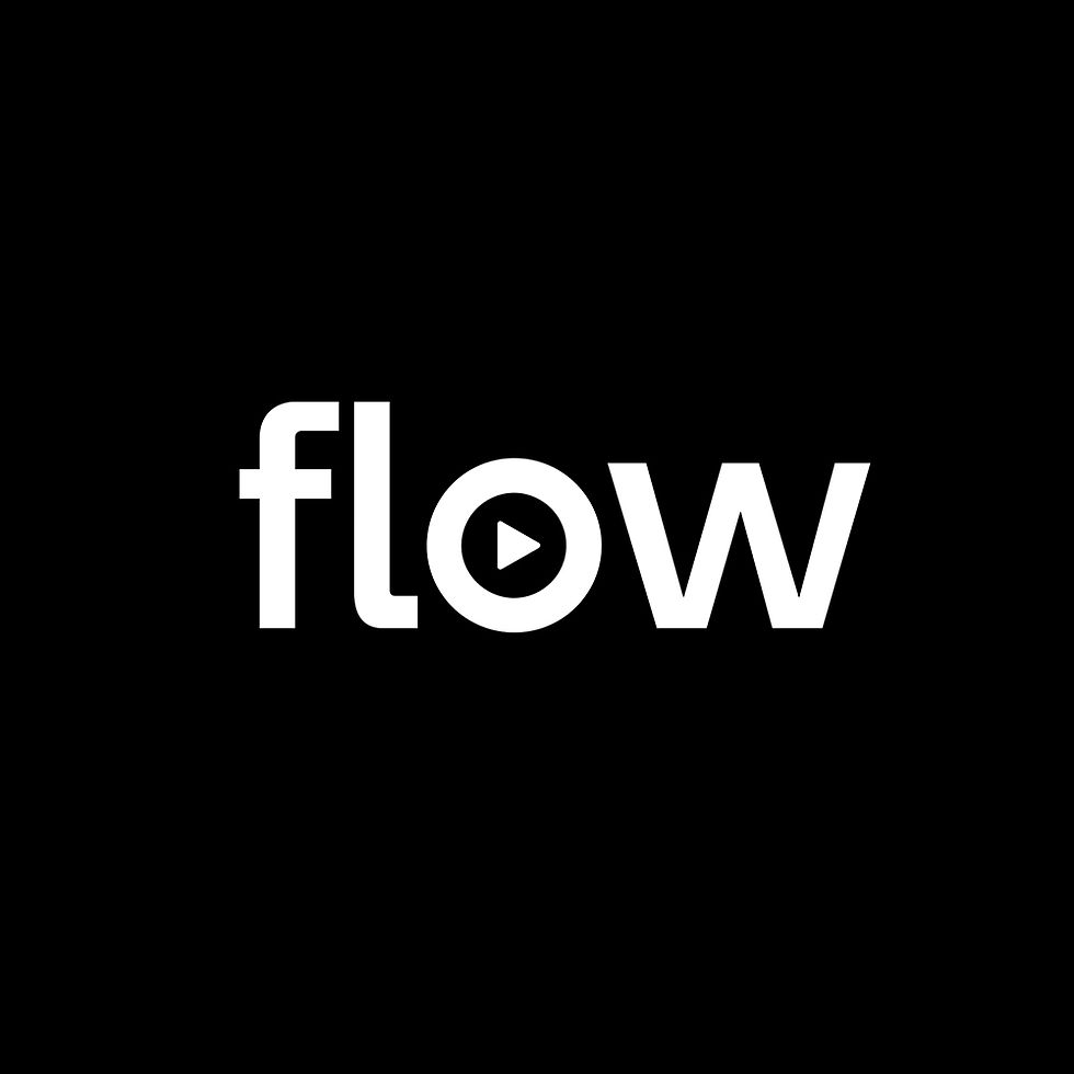 FLOW copy