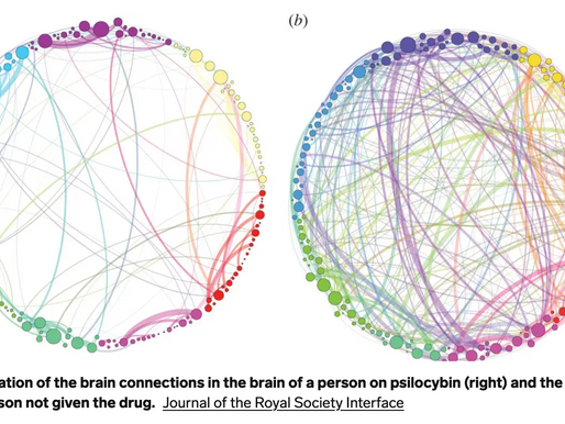 Which is Right for You: Psilocybin or LSD?