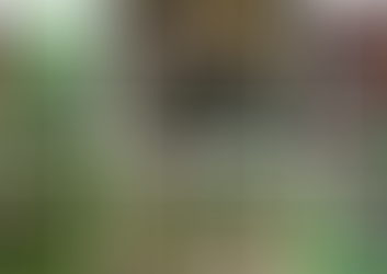 A Guide to Psychedelic Mushroom Genera and Their Species