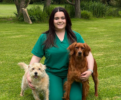 Vet nurse Aimee McKeown