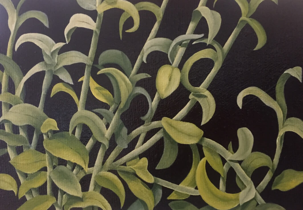 A painting of a Midnight Tradescantia plant by Scottish Artist Deborah Cumming