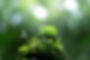 AdobeStock_226945123.jpeg