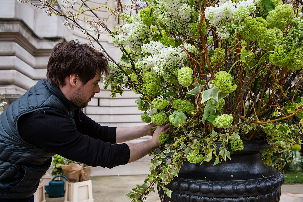 Arrangement d'une scénographie florale pour un événement