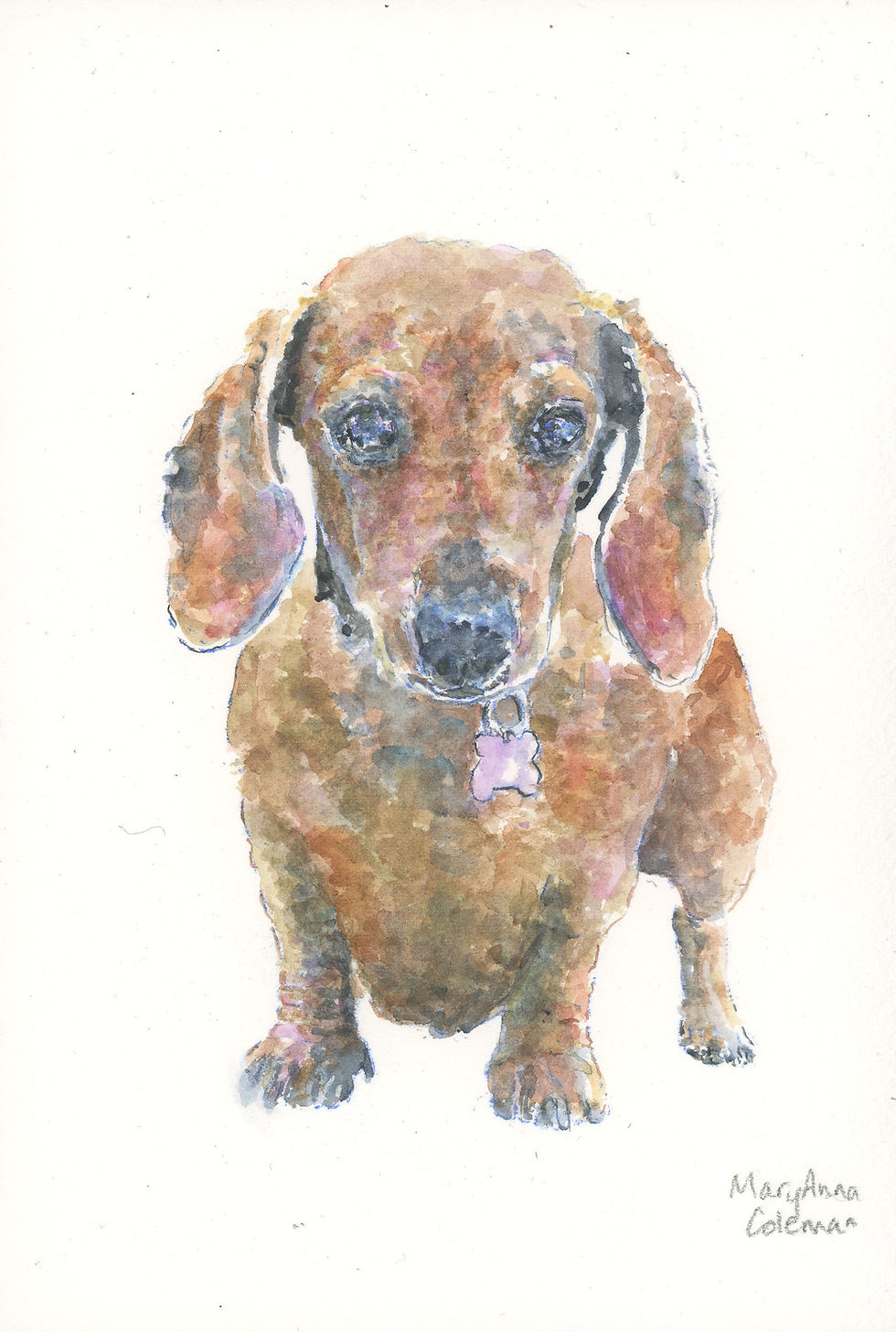 Thumbnail: Pet Portraits
