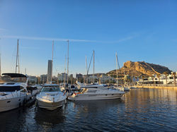 IMG_20260222_164849_821