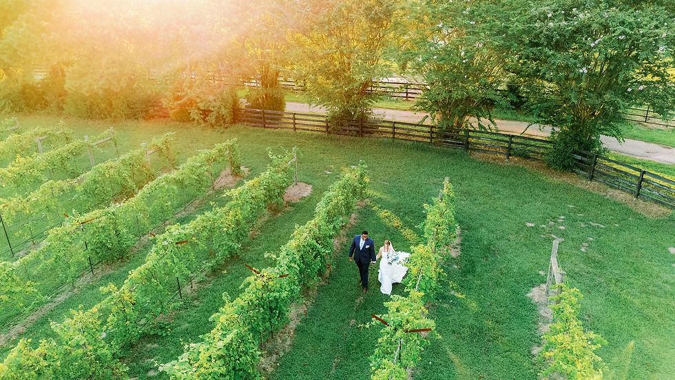 Young-Sneak Peek-123 (1).jpg