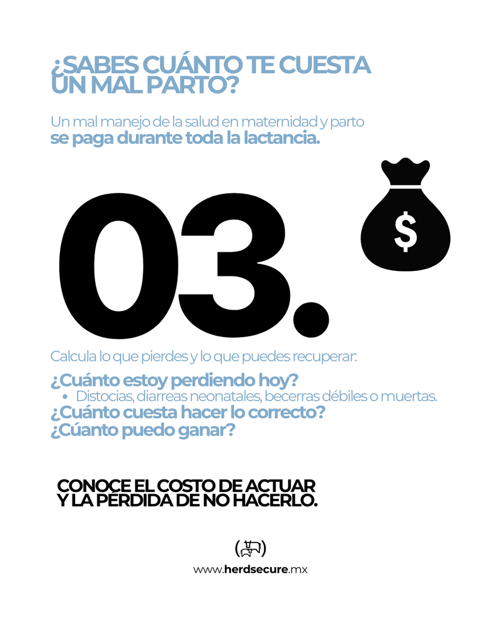 Análisis económico de pérdidas por mal manejo de maternidad y parto en ganado lechero.
