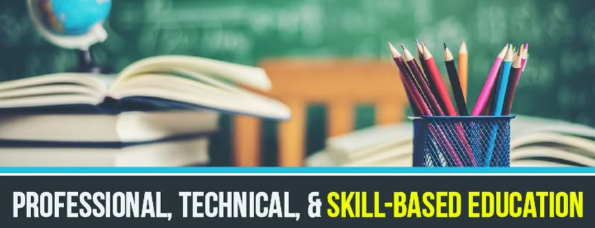 Professional-Technical-and-Skill-based-Education