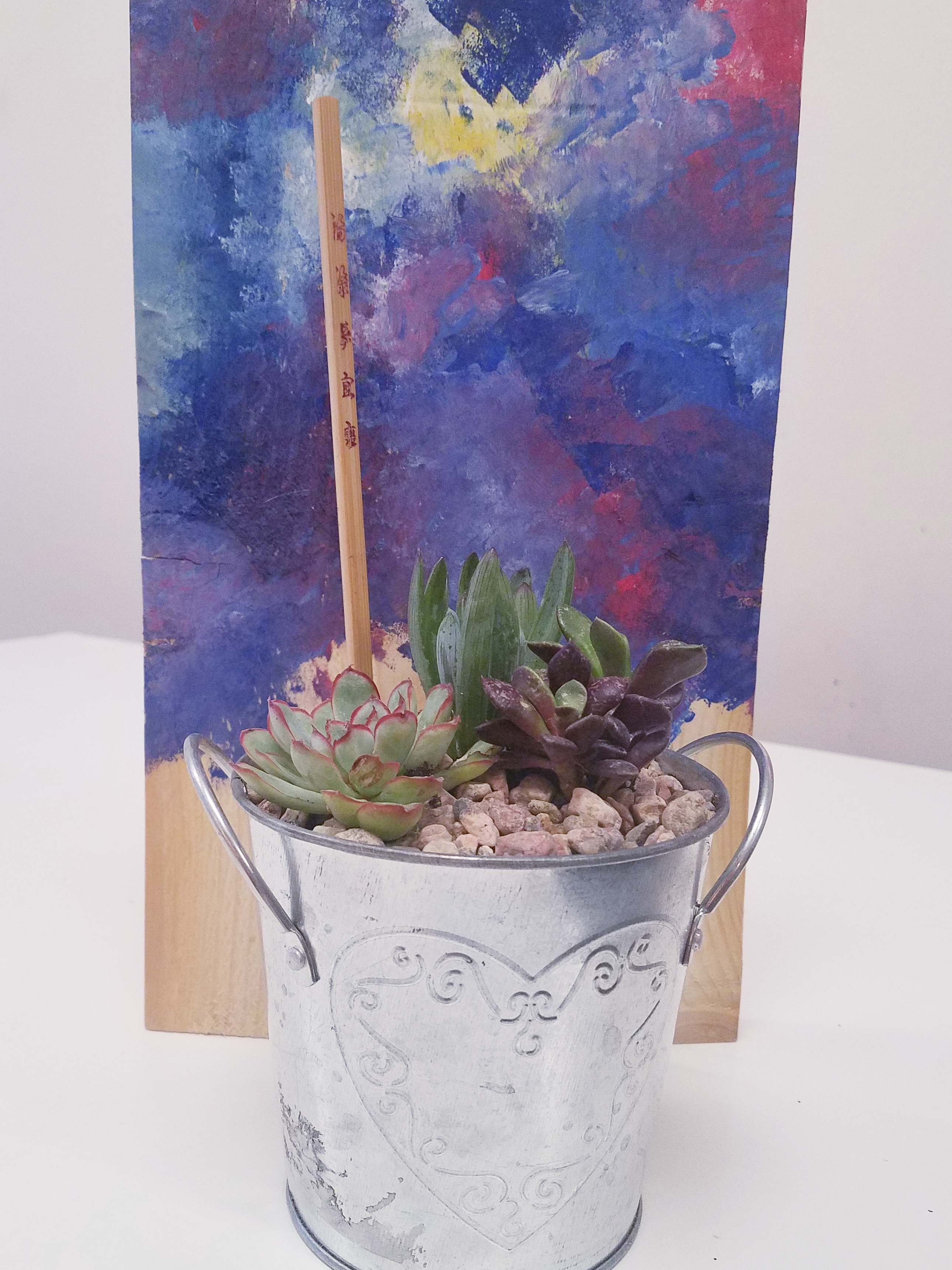 Succulents