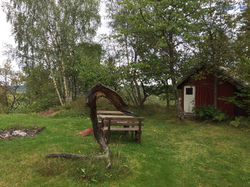 Blåshås