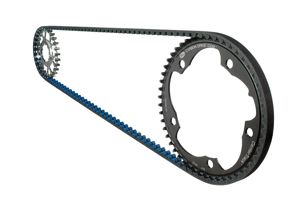 carbon belt on sporcket and chainring.jpg