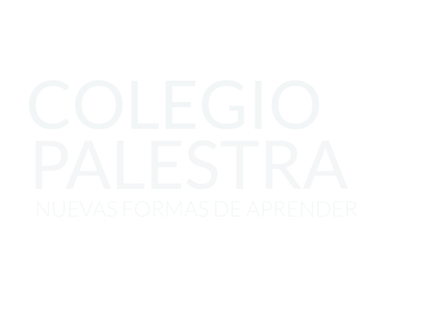 PALESTRA NEW PNG.png