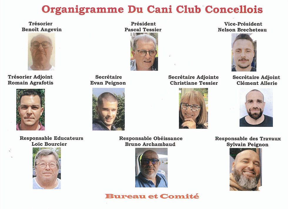 N'hésitez pas à venir les découvrir et discuter avec nous de votre chien et de vos besoins.