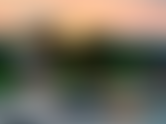 Top 5 Amenities That Increase Airbnb Revenue in Columbia County