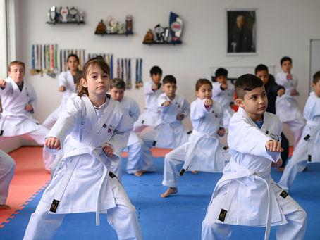 Karatê além do tatame: instrumento de desenvolvimento humano, inclusão e cidadania