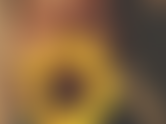 The Joy of Living Slow