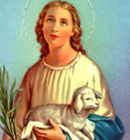 Santa Inês