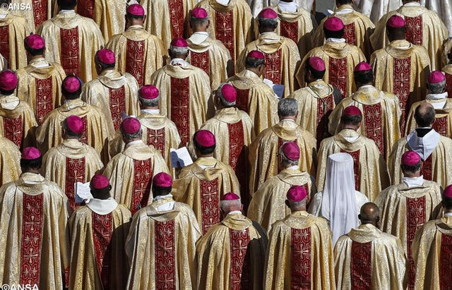Papa Francisco: carta aos bispos do mundo inteiro