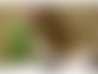 Papa: Santidade é caminho que só se percorre ao lado de Deus