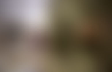Papa: a transformação de Jesus não é magia, renova o coração