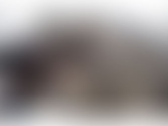 Mensagem do Papa no twitter condena escravidões modernas