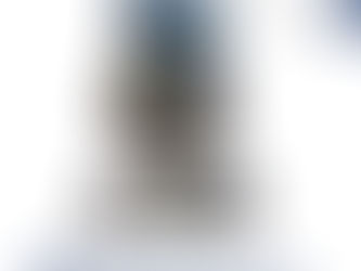 Nosso Site está completando 8 anos no ar
