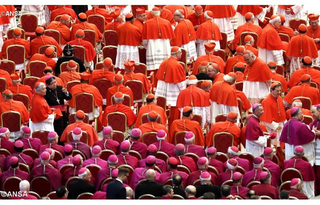 Papa Francisco : o caminho para o céu começa na planície