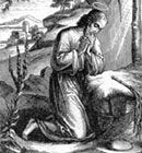 São Pedro Damião - Doutor da Igreja