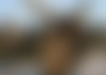 Mel Gibson prepara sequência de A Paixão de Cristo