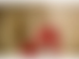 Papa: Jesus é o caminho, mas muitos cristãos são teimosos