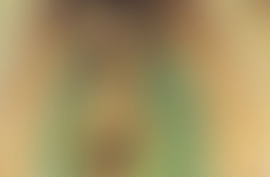 Nossa Senhora de Guadalupe e a defesa da vida