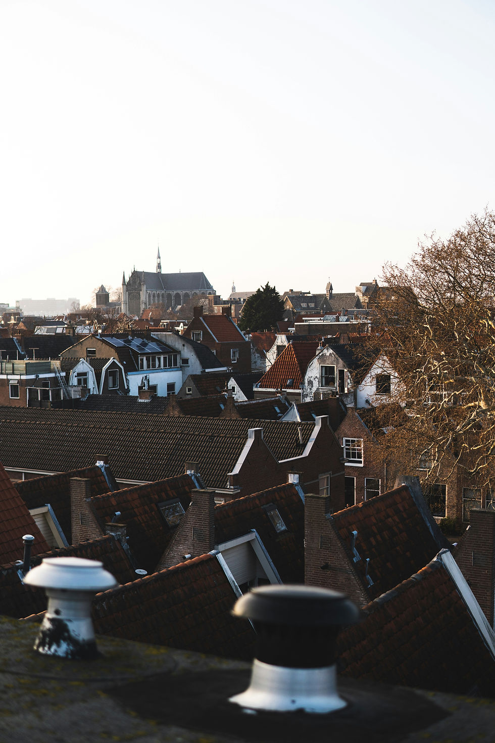 Schoorsteen renovatie Leiden