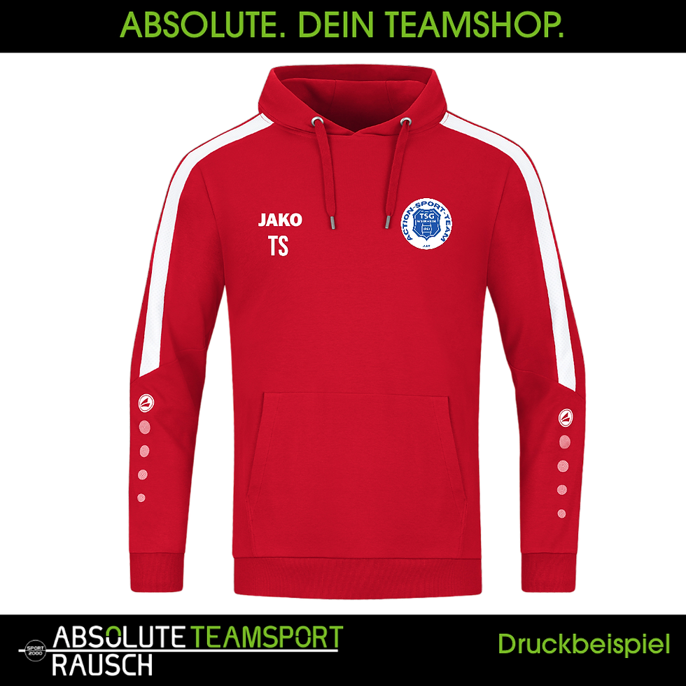 Miniaturbild: AST HOODY POWER 6723 - 100