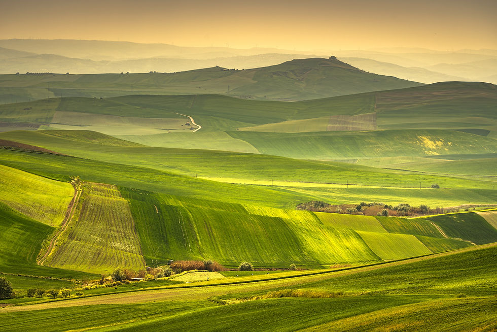 apulia-countryside-view-rolling-hills-landscape-p-2021-04-03-03-16-23-utc.jpg