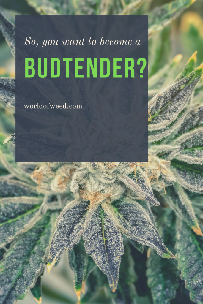 So you want to be a Bud Tender? (Oregon)  Podcast #2