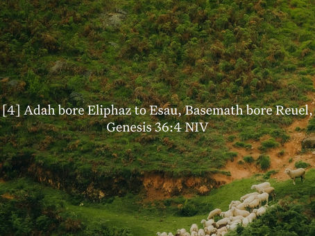 Genesis 36:4 Daily Devotional & Meaning – Adah Bare Eliphaz and Bashemath Bare Reuel