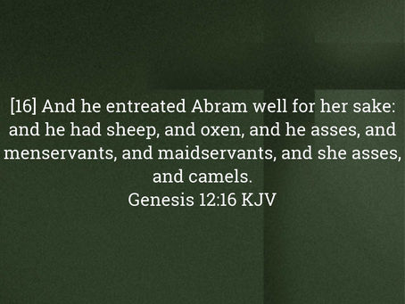 Genesis 12:16 Daily Devotional & Meaning – When Prosperity Comes Through Compromise