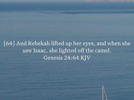 Genesis 24:64 Daily Devotional & Meaning – Rebekah Sees Isaac for the First Time