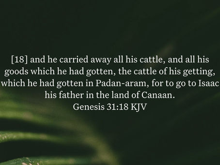 Genesis 31:18 Daily Devotional & Meaning – Jacob Returned Toward Canaan