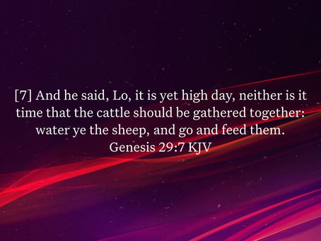 Genesis 29:7 Daily Devotional & Meaning – Water Ye the Sheep and Go Feed Them