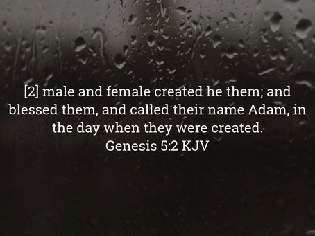 Genesis 5:2 Daily Devotional & Meaning – Male and Female Created and Blessed