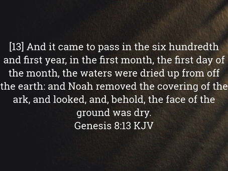 Genesis 8:13 Daily Devotional & Meaning – Noah Sees the Dry Ground