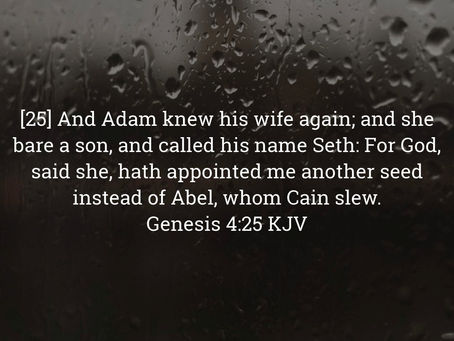 Genesis 4:25 Daily Devotional & Meaning – God Appoints a New Beginning