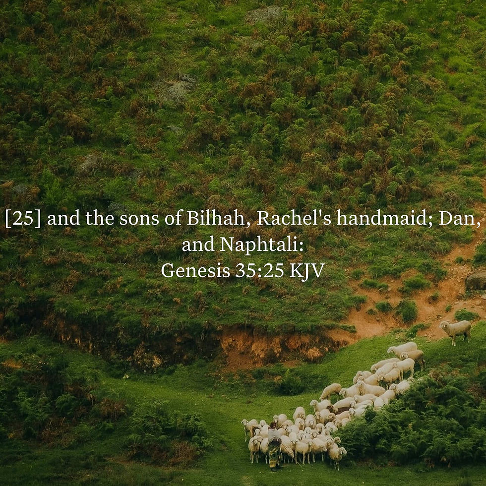 Genesis 35:25 Daily Devotional & Meaning – The Sons of Bilhah