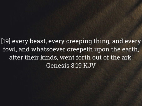 Genesis 8:19 Daily Devotional & Meaning – Every Creature Goes Forth