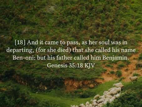 Genesis 35:18 Daily Devotional & Meaning – Benoni and Benjamin