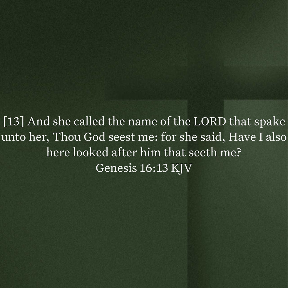 Genesis 16:13 Daily Devotional & Meaning – El Roi, the God Who Sees Hagar and the Overlooked